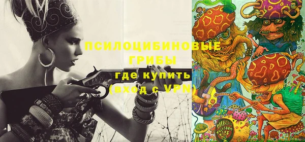 ПСИЛОЦИБИНОВЫЕ ГРИБЫ Краснослободск