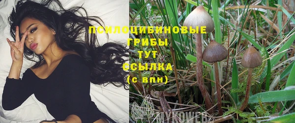 прущий лед Балабаново