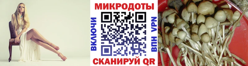 Псилоцибиновые грибы мицелий  Елизаветинская 